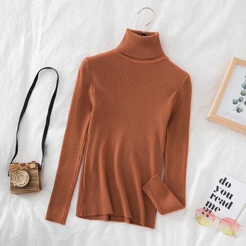 AliExpress Other Woman's Knitted Cashmere Turtleneck Sweater